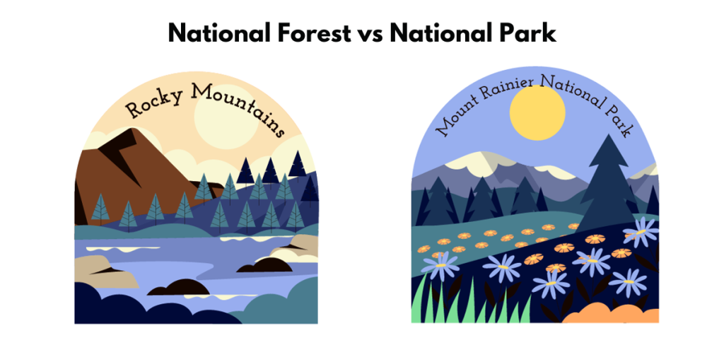 national forest vs national park